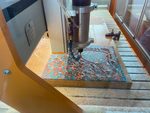 Step 5 Gallery image 2