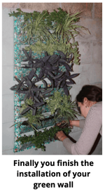 Step 4 Gallery image 3
