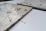 Step 1 Gallery image 1