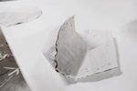 Step 15 Gallery image 6