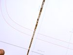 Step 4 Gallery image 3